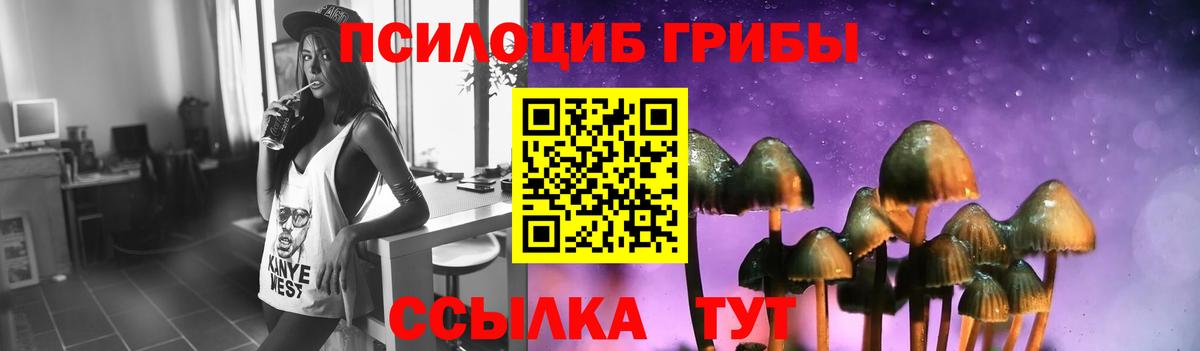 Псилоцибиновые грибы GOLDEN TEACHER Щёлково